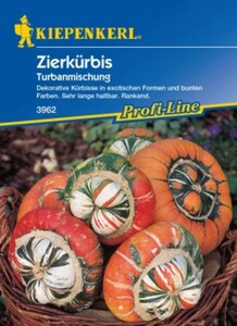 Kiepenkerl Zierkürbis Turban
, 
Cucurbita pepo, Inhalt: ca. 5 Pflanzen