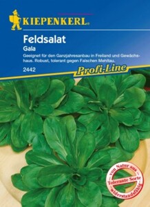 Kiepenkerl Feldsalat Gala
, 
Valerianella locusta, Inhalt: ca. 5 lfd. Meter