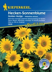 Kiepenkerl Sonnenblume Golden Hedge
, 
Helianthus annuus, Inhalt: ca. 30 Pflanzen