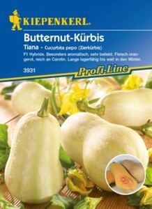 Kiepenkerl Butternut-Kürbis Tiana
, 
Cucurbita moschata, Inhalt: ca. 6 Pflanzen