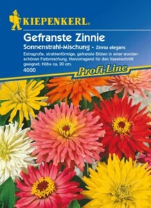 Kiepenkerl Zinnie Sonnenstrahl
, 
Zinnia elegans, Inhalt: ca. 40 Pflanzen