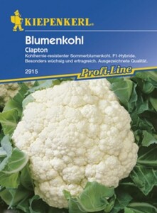 Kiepenkerl Blumenkohl Clapton
, 
Brassica oleracea var. botrytis, Inhalt: ca. 12 Pflanzen