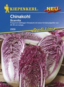 Kiepenkerl Chinakohl Scarvita
, 
Brassica rapa subsp. pekinensis, Inhalt: ca. 15 Pflanzen