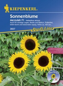 Kiepenkerl Sonnenblume Mezzulah
, 
Helianthus annuus, Inhalt: ca. 25 Pflanzen