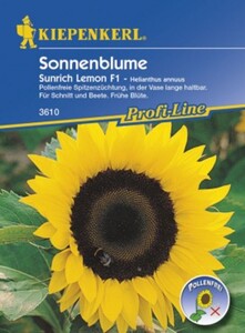 Kiepenkerl Sonnenblume Sunrich Lemon
, 
Helianthus annuus, Inhalt: ca. 25 Pflanzen
