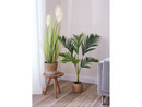 Bild 3 von Livarno Home Kunstpflanze, für den Innenraum