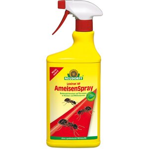 Neudorff Loxiran AF Ameisen-Spray 750 ml