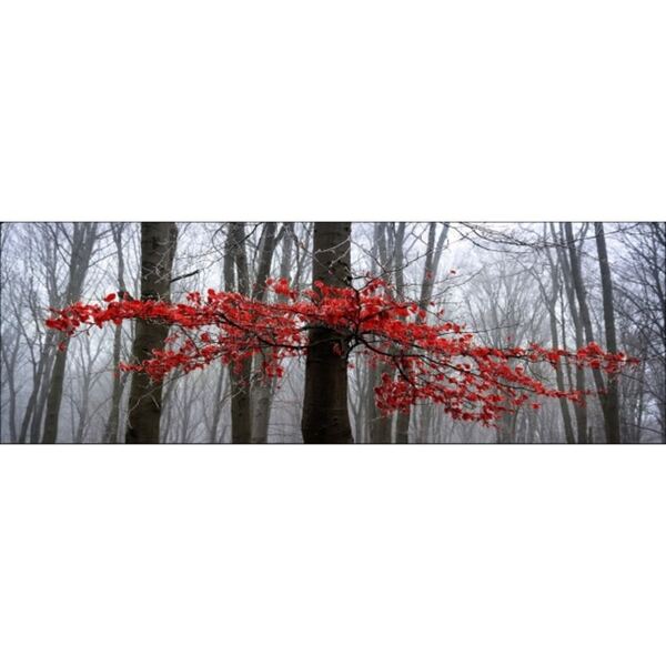 PRO ART Alu-Art Bild MYSTIK TREES II 150 X 50 cm von porta Möbel für