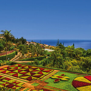 Blütenzauber auf Madeira 2022/2023