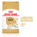 Bild 1 von Royal Canin Labrador Retriever 5+ Adult 3kg
