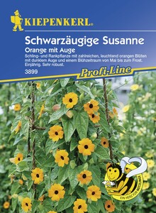 Kiepenkerl Schwarzäugige Susanne Thunbergia Orange mit Auge
, 
Valerianella locusta, Inhalt: ca. 20 Pflanzen