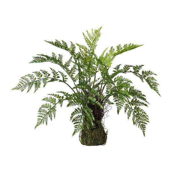 Bild 1 von Kunstpflanze Farn in Grün ca. 50cm
