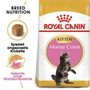 Bild 1 von Royal Canin Maine Coon Kitten 4kg