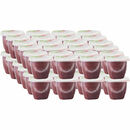 Bild 1 von Favorit Fruchtdessert Apfel, Himbeere & Cassis, 48er Pack