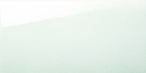 Bild 1 von Wandfliese Weiß 30 x 60 cm weiß glanz