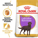 Bild 1 von Royal Canin Labrador Adult Sterilisiert