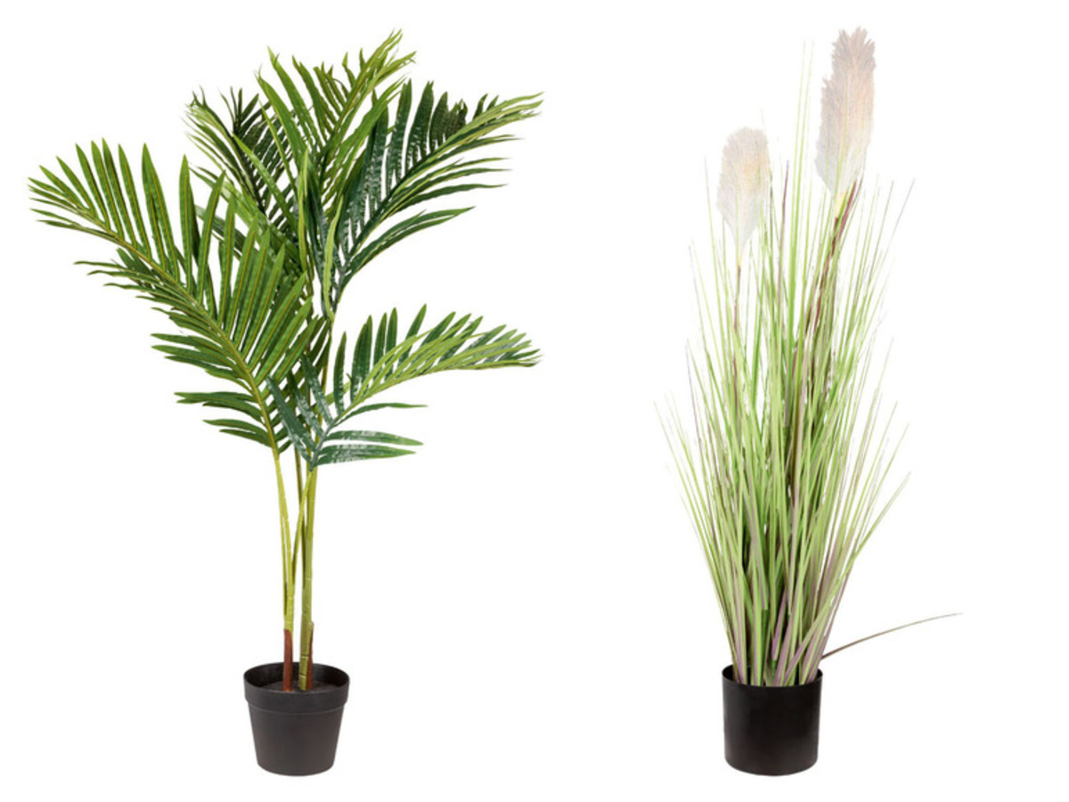 Bild 1 von Livarno Home Kunstpflanze, für den Innenraum