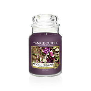 Yankee Candle DUFTKERZE Violett