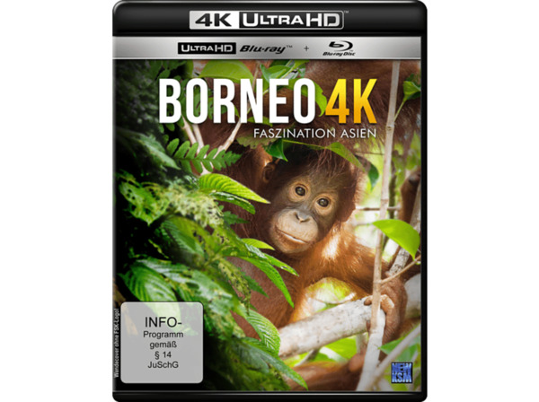 Bild 1 von Borneo 4K Ultra HD Blu-ray +