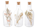 Bild 2 von Pureday Deko-Objekt Flaschen-Set / Glasglocke, mit Trockenblumen
