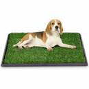 Bild 1 von Hundetoilette, Welpentoilette, Trainingsunterlage für Hunde, Hundetoepfchen, Hunde Training, 76x51 cm - Goplus
