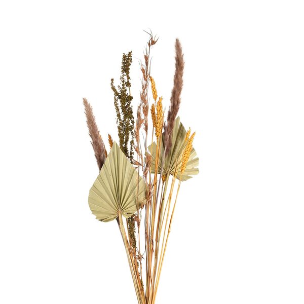 Bild 1 von Strauß Trockenblumen ca.L62cm, senfgelb