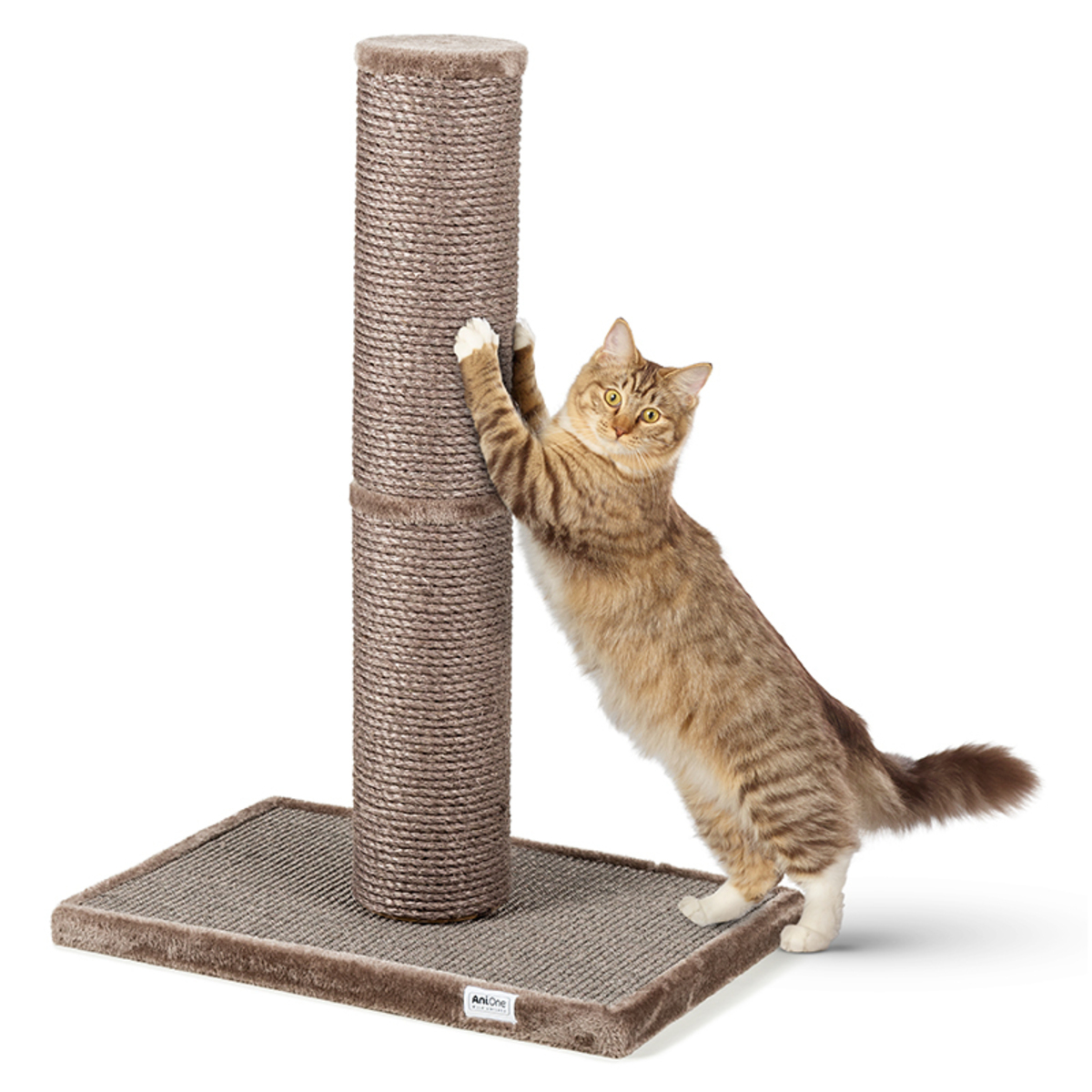 Bild 1 von AniOne Kratzsäule Calypso