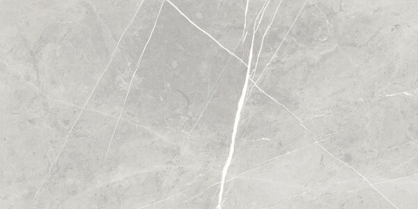Bild 1 von Feinsteinzeug Ciana 30 x 60 cm, Stärke 10 mm, Abr. 4, grey, glasiert poliert
