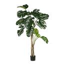 Bild 1 von Kunstpflanze Philodendron ca. 170cm