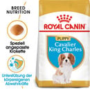 Bild 1 von Royal Canin Cavalier King Charles Puppy 1,5kg