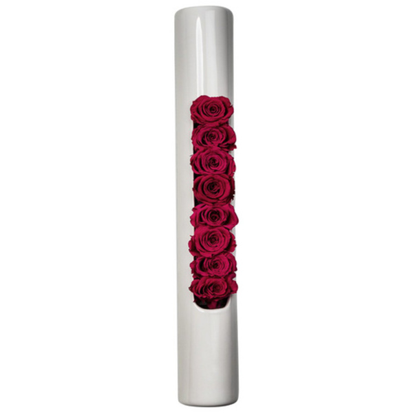 Bild 1 von Rosen Rosen in Keramik »Infinity-Bloom«, , max. Wuchshöhe: 5  cm, mehrjährig