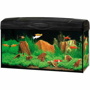Dehner - Gute Wahl Aquarium Starterset Scout mit LED-Beleuchtung, ca. 60 x 30 x 30 cm, 54 l, Glas/Kunststoff, transparent/schwarz