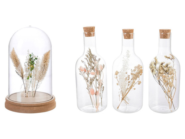 Bild 1 von Pureday Deko-Objekt Flaschen-Set / Glasglocke, mit Trockenblumen