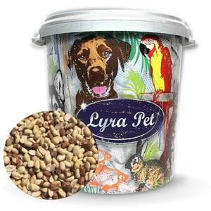Lyra Pet - 10 kg ® Erdnusskerne Splits gemischt blanchiert und mit Haut HK Südamerika in 30 L Tonne