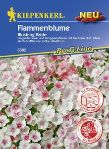 Kiepenkerl Phlox Blushing Bride
, 
Phlox drummondii, Inhalt: ca. 50 Pflanzen