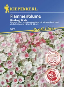 Kiepenkerl Flammenblume Blushing Bride
, 
Inhalt reicht für ca. 50 Pflanzen
