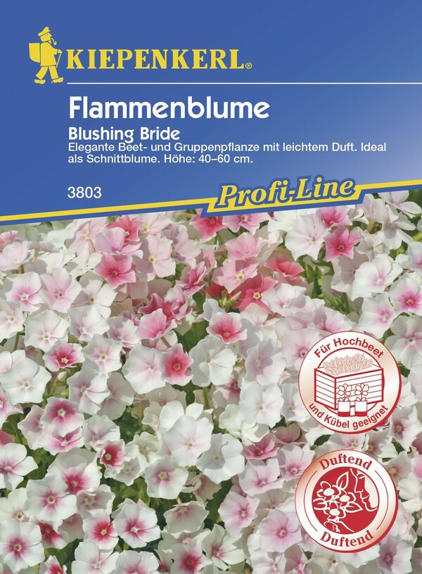 Bild 1 von Kiepenkerl Flammenblume Blushing Bride
, 
Inhalt reicht für ca. 50 Pflanzen