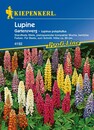 Bild 1 von Kiepenkerl Lupine Gartenzwerg
, 
Lupinus polyphyllus, Inhalt: ca. 20 Pflanzen