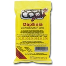 Bild 1 von Daphnia 1,5 kg, 15 Beutel à 100 g