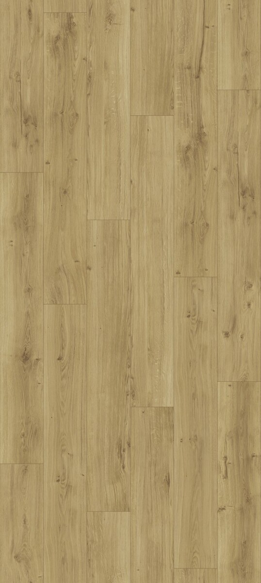 Bild 1 von Parador Designboden Basic Eiche Castle