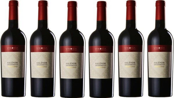 AMC Vinosia Rotwein L, 2020 Appassimento Salento 0,75 Globus Baumarkt 6x Primitivo ansehen! Jahrgang von