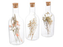 Bild 4 von Pureday Deko-Objekt Flaschen-Set / Glasglocke, mit Trockenblumen