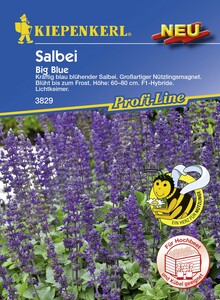 Kiepenkerl Salvia Big Blue
, 
Salvia longispicata x farinacea, Inhalt: 8 Korn