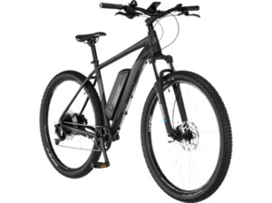 FISCHER MONTIS EM 2129 Mountainbike (Laufradgröße: 29 Zoll, Rahmenhöhe: 51 cm, Herren-Rad, 422 Wh, Schwarz matt)