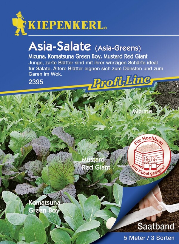 Bild 1 von Kiepenkerl Asia-Salate, Saatband
, 
Inhalt reicht für 5 lfd. Meter