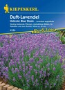 Bild 1 von Kiepenkerl Lavendel Hidcote Blue Strain
, 
Lavandula angustifolia, Inhalt: ca. 40 Pflanzen