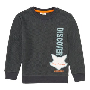 Jungen-Sweatshirt mit Fuchs-Applikation
