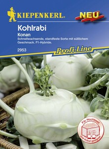 Kiepenkerl Kohlrabi Konan
, 
Brassica oleracea var. gongylodes, Inhalt: 30 Korn
