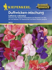 Kiepenkerl Lathyrus Duftwicken-Mix
, 
Lathyrus odoratus, Inhalt: 3 g