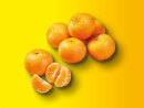 Bild 1 von Mandarinen/Clementinen